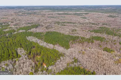 1000 Old River Road S, Brooklet, GA 30415 - Photo 32
