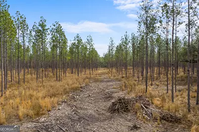 1000 Old River Road S, Brooklet, GA 30415 - Photo 36