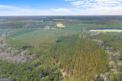 1000 Old River Road S, Brooklet, GA 30415 - Photo 24