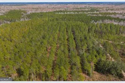 1000 Old River Road S, Brooklet, GA 30415 - Photo 38