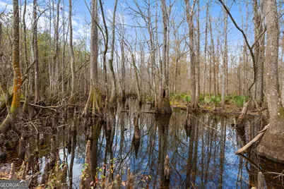 1000 Old River Road S, Brooklet, GA 30415 - Photo 54