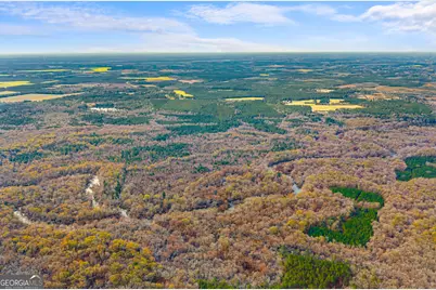 1000 Old River Road S, Brooklet, GA 30415 - Photo 8