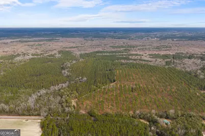 1000 Old River Road S, Brooklet, GA 30415 - Photo 42