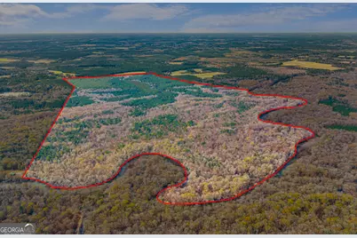 1000 Old River Road S, Brooklet, GA 30415 - Photo 2
