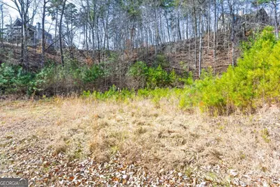 53 Somerset Lane, Cartersville, GA 30121 - Photo 4