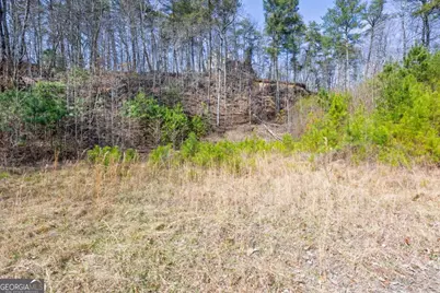 53 Somerset Lane, Cartersville, GA 30121 - Photo 4