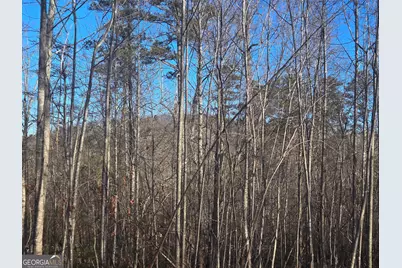 2994 Cannon Bridge Road, Demorest, GA 30535 - Photo 34