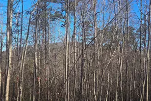 2994 Cannon Bridge Rd, Demorest, GA 30535 - Photo 34