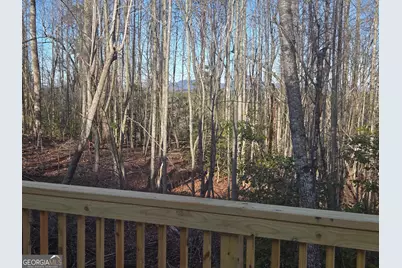 2994 Cannon Bridge Road, Demorest, GA 30535 - Photo 32
