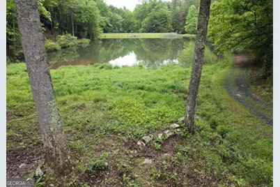 3360 Turniptown Road, Ellijay, GA 30536 - Photo 80