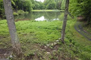 3360 Turniptown Rd, Ellijay, GA 30536 - Photo 80