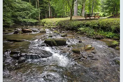 3360 Turniptown Road, Ellijay, GA 30536 - Photo 58