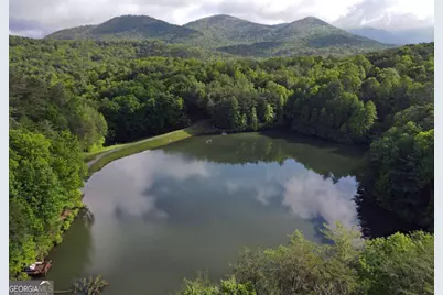 3360 Turniptown Road, Ellijay, GA 30536 - Photo 76