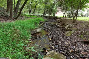 3360 Turniptown Rd, Ellijay, GA 30536 - Photo 16