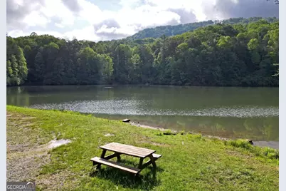 3360 Turniptown Road, Ellijay, GA 30536 - Photo 72