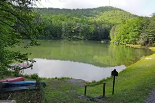 3360 Turniptown Rd, Ellijay, GA 30536 - Photo 70