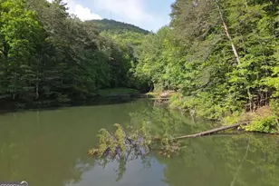 3360 Turniptown Rd, Ellijay, GA 30536 - Photo 74