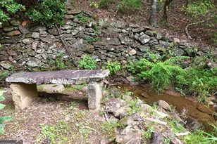 3360 Turniptown Rd, Ellijay, GA 30536 - Photo 12