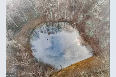 922 Linch Road, Senoia, GA 30276 - Photo 58