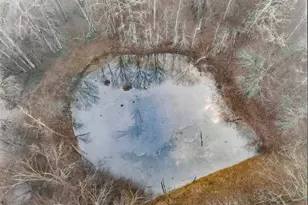 922 Linch Rd, Senoia, GA 30276 - Photo 58