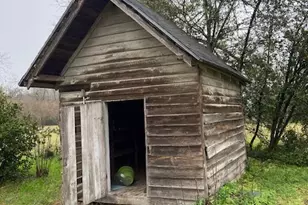 219 Main Street E, Bronwood, GA 39826 - Photo 44