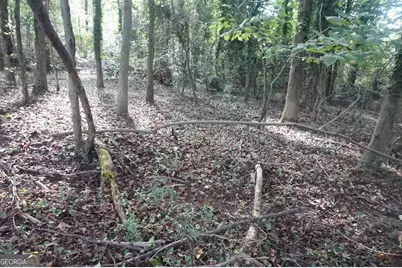 Lot 6 Pine Valley Drive, Royston, GA 30662 - Photo 14