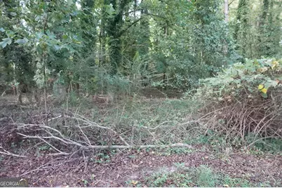 Lot 6 Pine Valley Drive, Royston, GA 30662 - Photo 16