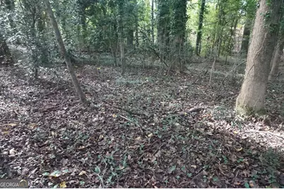 Lot 6 Pine Valley Drive, Royston, GA 30662 - Photo 10