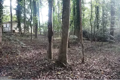 Lot 6 Pine Valley Drive, Royston, GA 30662 - Photo 8