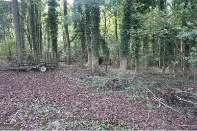 Lot 6 Pine Valley Drive, Royston, GA 30662 - Photo 4