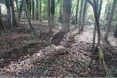 Lot 6 Pine Valley Drive, Royston, GA 30662 - Photo 12