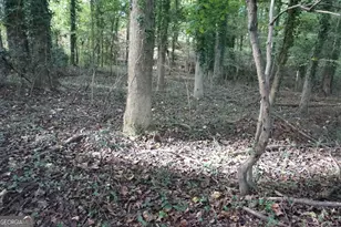 Lot 6 Pine Valley Dr, Royston, GA 30662 - Photo 1