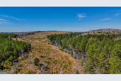 0 John Kay Road, Taylorsville, GA 30178 - Photo 10