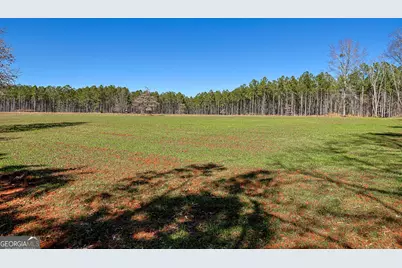 Tbd Old Zebulon Road, Forsyth, GA 31029 - Photo 18