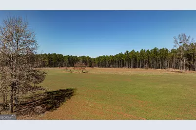 Tbd Old Zebulon Road, Forsyth, GA 31029 - Photo 10