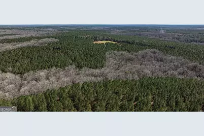 Tbd Old Zebulon Road, Forsyth, GA 31029 - Photo 54