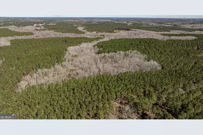 Tbd Old Zebulon Road, Forsyth, GA 31029 - Photo 12