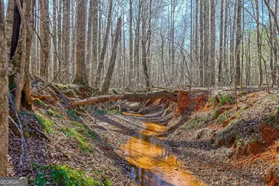 Tbd Old Zebulon Road, Forsyth, GA 31029 - Photo 8