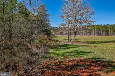 Tbd Old Zebulon Road, Forsyth, GA 31029 - Photo 38