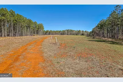 Tbd Old Zebulon Road, Forsyth, GA 31029 - Photo 22