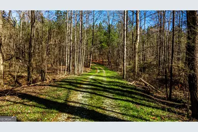 Tbd Old Zebulon Road, Forsyth, GA 31029 - Photo 26