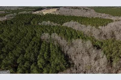 Tbd Old Zebulon Road, Forsyth, GA 31029 - Photo 48