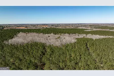 Tbd Old Zebulon Road, Forsyth, GA 31029 - Photo 52