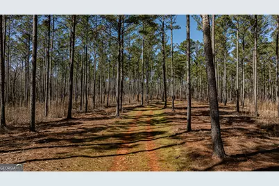 Tbd Old Zebulon Road, Forsyth, GA 31029 - Photo 32
