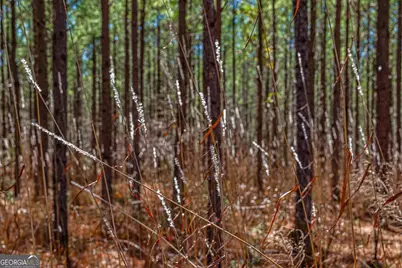 Tbd Old Zebulon Road, Forsyth, GA 31029 - Photo 58