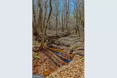 Tbd Old Zebulon Road, Forsyth, GA 31029 - Photo 44