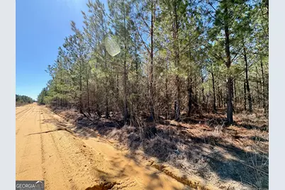 0 Rock Springs Road, Glenwood, GA 30428 - Photo 2