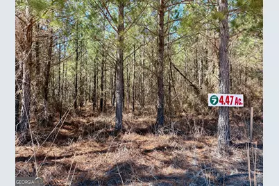 0 Rock Springs Road, Glenwood, GA 30428 - Photo 1
