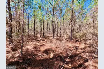 0 Rock Springs Road, Glenwood, GA 30428 - Photo 4