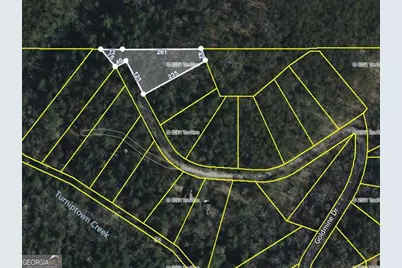 Q24 Goldmine Drive, Ellijay, GA 30536 - Photo 18